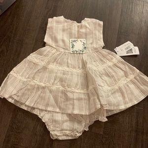 NWT Chelsea & Violet Dress